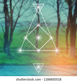 Interlocking circles, triangles and squares hipster sacred geometry illustration with flower ornament and  light dots in front of photographic background.