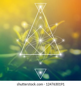 Interlocking circles, triangles and squares hipster sacred geometry illustration with light dots in front of photographic background.