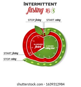 Intermittent fasting apple shape info clock 16/8 for weight loss and health, it shows step by step when to start, stop fasting and eating, beautiful bright diet concept design