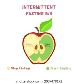 Si el concepto de ayuno intermitente, una manzana cortada muestra un color diferente sobre el periodo de ayuno y de alimentación , come 8 horas, ayuno 16 horas, buenos hábitos de comer pueden perder peso 
