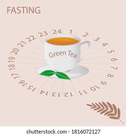 Intermittent fasting - cup of green tea on the background of the clock face - vector. Diet concept