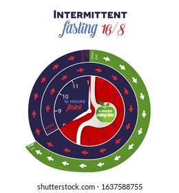 Intermittent fasting diet clock 16/8 for weight loss and health, detailed design showing when to start and when stop fasting and eating, inside the clock are stomach and apple as eating symbols