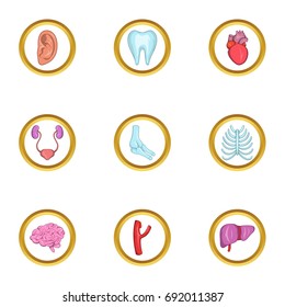 Intern organs icon set. Cartoon set of 9 intern organs vector icons for web isolated on white background