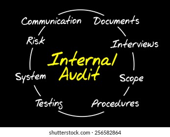 Internal Audit process circle, business concept