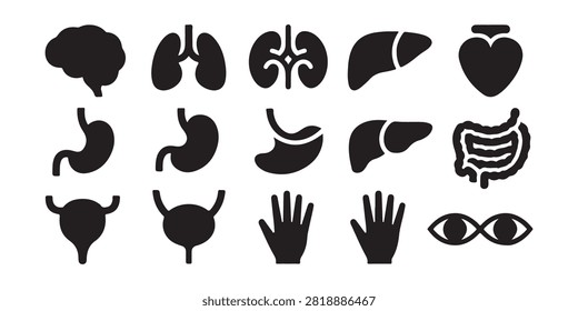 Internal body organs collection brain lungs kidney liver stomach intestines bladder pair hands and eyes symbols.