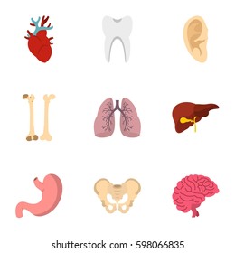 Internal body parts icons set. Flat illustration of 9 internal body parts vector icons for web