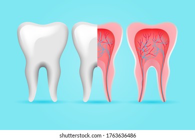 Internal and external tooth set