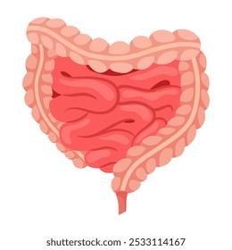 Internal human body organ - intestine, info poster. Medical anatomy infographic element. Medicine concept, healthcare. Vector illustration