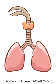 Internal human body organ - lungs, info poster. Medical anatomy infographic element. Medicine concept, healthcare. Vector illustration
