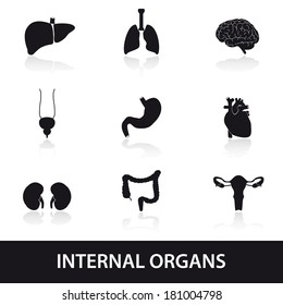Órganos internos del cuerpo humano EPS10