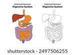 Internal Human Digestive System | Digestive System Diagram | Science Diagram for Digestive System 