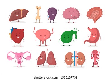 Internal human organ with funny faces set. Anatomy and biology concept. Human body system. Liver and kidney, heart and stomach. Isolated flat vector illustration