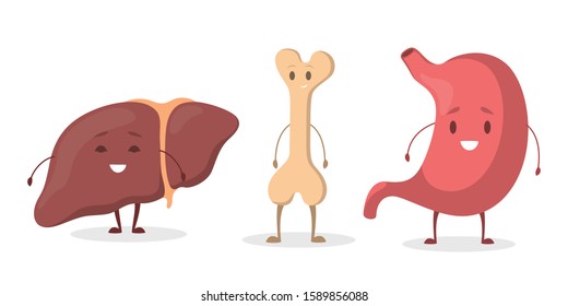 Internal human organ with funny faces set. Anatomy and biology concept. Human body system. Liver and stomach, bone . Isolated flat vector illustration