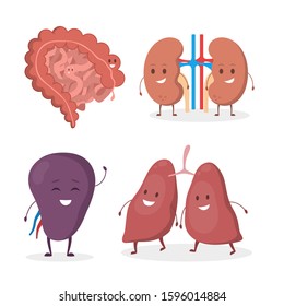 Internal human organ with funny faces set. Anatomy and biology concept. Human body system. Large and small intestine, lungs, kidney, spleen. Isolated flat vector illustration