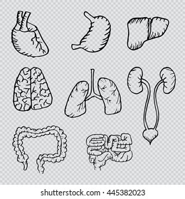 Internal human organs hand drawn icons set with - heart, brains, lungs, liver, kidneys, intestine,  stomach. 