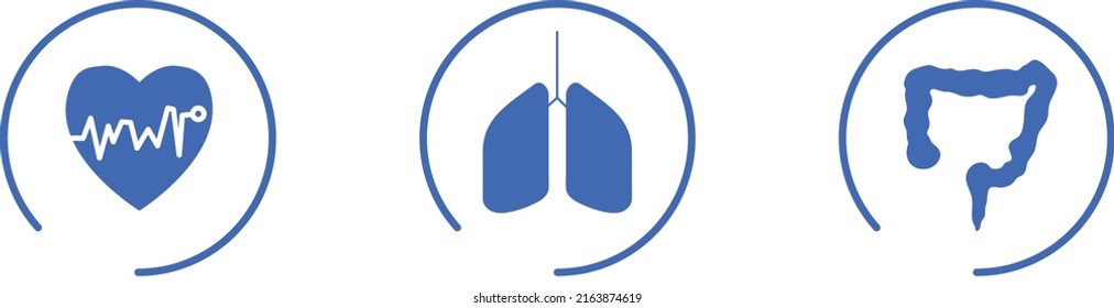 Conjunto de iconos internos de órganos humanos, diseño de vectores de línea médica y de atención médica. Conceptos de diseño gráfico moderno, Corazón, Pulmones, Iconos de línea vectorial de intestinos. Aislado sobre fondo blanco