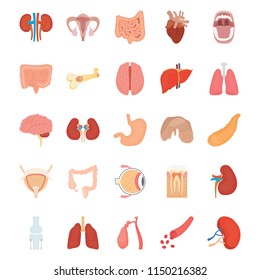 Internal Human Organs Icons