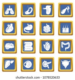 Internal human organs icons set vector blue square isolated on white background 