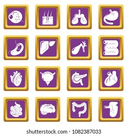 Internal human organs icons set vector purple square isolated on white background 