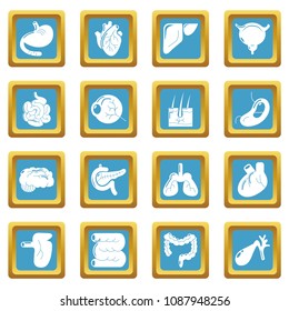 Internal human organs icons set vector sapphirine square isolated on white background 