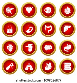 Internal human organs icons set. Simple illustration of 16 internal human organs vector icons for web