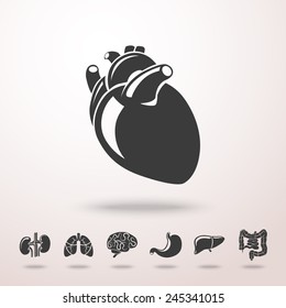 Internal human organs icons set with - heart, brains, lungs, liver, kidneys, intestine, stomach. Vector