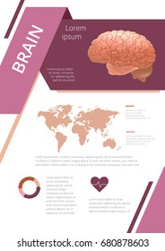 Internal human organs infographic brain