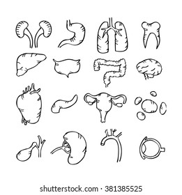 Internal Organs Icons Collection Stock Vector (Royalty Free) 1213150369