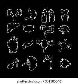  Internal human organs. Sketchy style illustration.
