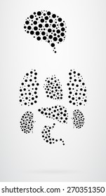 Internal Human Organs Vector Abstract