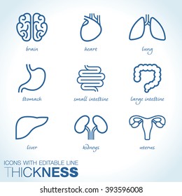 Internal human organs vector icons