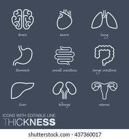 Internal human organs vector icons, dark background