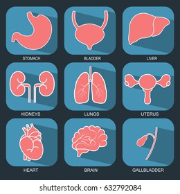 Internal human organs vector icons set in flat design style