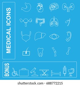 Internal human organs vector icons set in linear design style. 