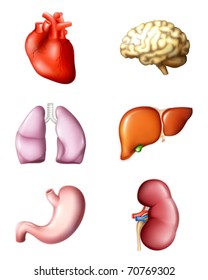 Internal human organs, vector icons set