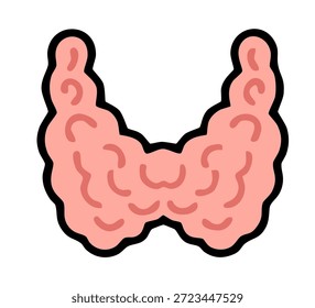 internal human thyroid illustration for biology education and medical professional healthcare use