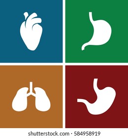internal icons set. Set of 4 internal filled icons such as stomach, heart organ