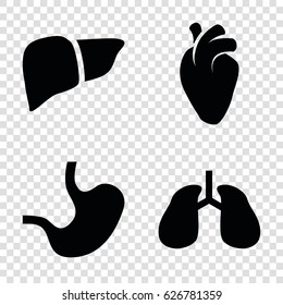 Internal icons set. set of 4 internal filled icons such as liver, heart organ, lungs