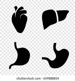 Internal icons set. set of 4 internal filled icons such as stomach, liver