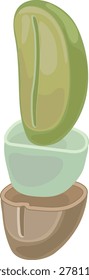 Internal Layers of a Green Coffee Bean Anatomy (Coffea arabica) Diagram