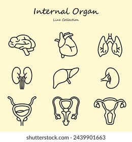 Conjunto de iconos editables de órgano interno - Estilo de línea. Con Varias Formas. Cerebro, corazón, pulmones, aparato reproductor. Colección Outline