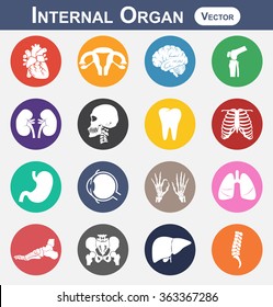 Internal Organ Icon ( Heart , Uterus ( Womb ), Brain , Knee , Kidney , Skull , Neck , Tooth , Chest , Stomach , Eye , Hands , Lung , Foot , Pelvic , Liver , Spine ) ( Medical And Science Icon )