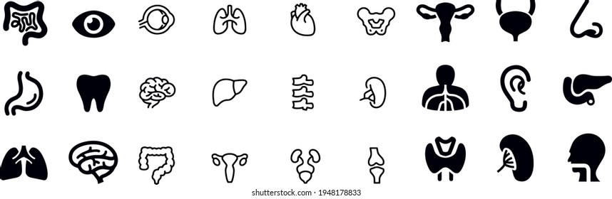  Internal Organ vector design vector design 