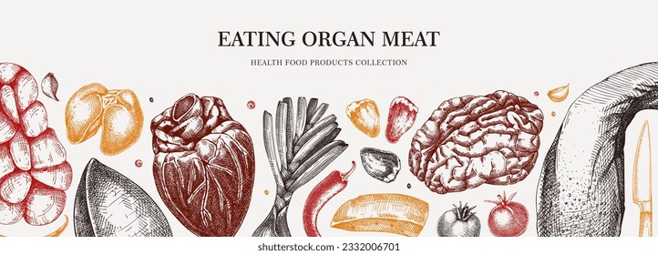 Internal organs banner. Liver, heart, kindle, tongue, offal, organ meat background. Ingredients, meat product, healthy food sketch. Engraved vector food illustration. Butchery design elements.