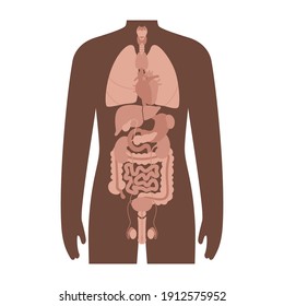 Internal organs in a black man body. Stomach, heart, kidney and other organs in male silhouette. Digestive, respiratory, cardiovascular and reproductive systems. Medical anatomy vector illustration.