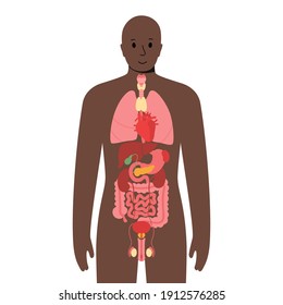 Internal organs in a black man body. Stomach, heart, kidney and other organs in male silhouette. Digestive, respiratory, cardiovascular and reproductive systems. Medical anatomy vector illustration.