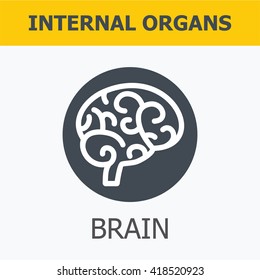 Internal organs - brain. Family and a healthy lifestyle. Medical infographic icons, human organs, body anatomy. Vector icons of internal human organs Flat design. Internal organs icons.
