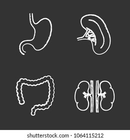 Internal organs chalk icons set. Stomach, kidneys, large intestine, spleen. Isolated vector chalkboard illustrations