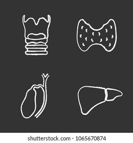 Internal organs chalk icons set. Larynx, thyroid, gallbladder, liver. Isolated vector chalkboard illustrations