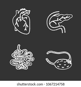 Internal organs chalk icons set. Heart, pancreas and duodenum, small intestine, ovary and fallopian tube. Isolated vector chalkboard illustrations